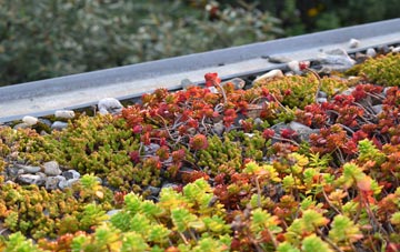 the cost of Ingoldisthorpe green roof installation